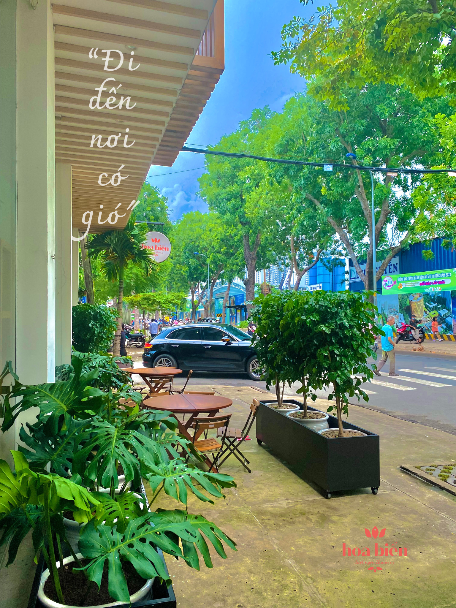 Đi đến nơi có gió