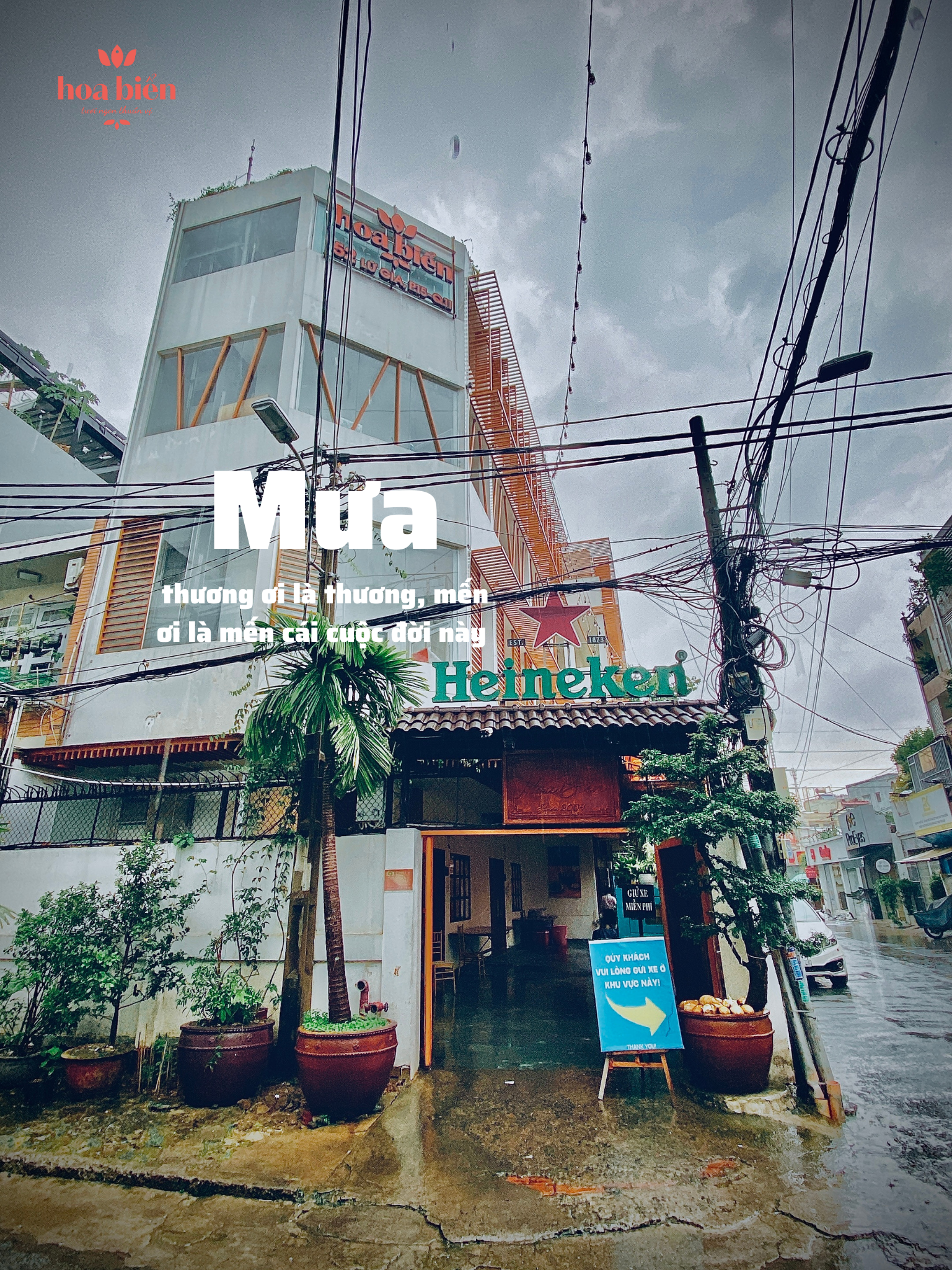 Mưa 